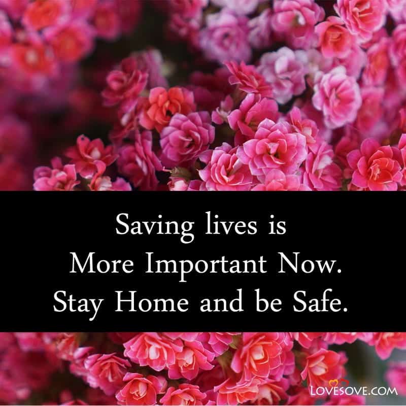 Best Stay Home Stay Safe Quotes, Status, Messages & Thoughts, Stay Home Stay Safe Quotes, stay home stay safe status lovesove