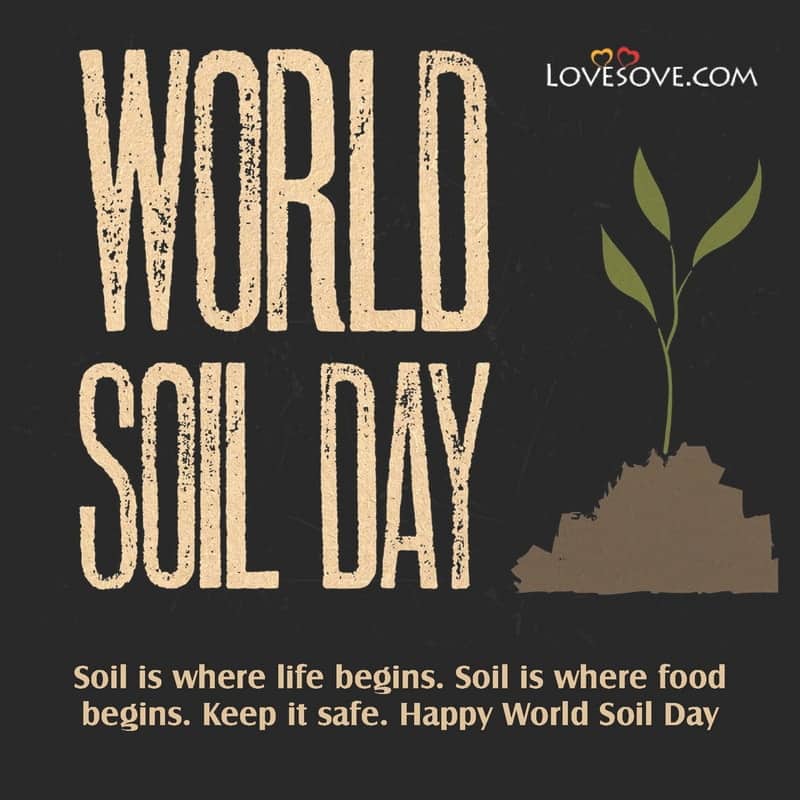 best quotes for world soil day, world soil day quotes in english, world soil day lines, world soil day thoughts,