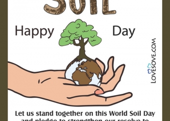 world soil day slogans, quotes, messages & thoughts, world soil day slogans, world soil day wallpaper lovesove