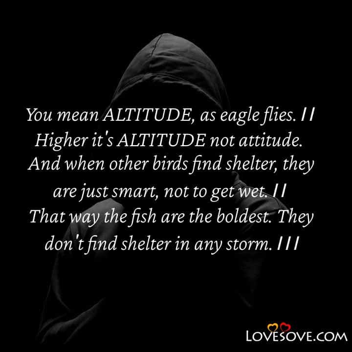 You mean Altitude as eagle flies