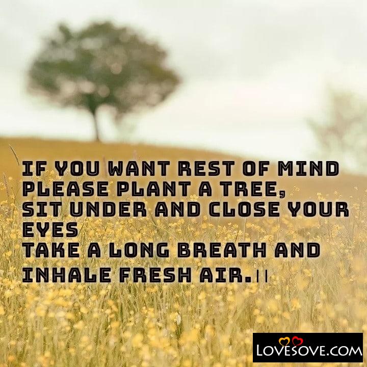 If you want rest of mind please