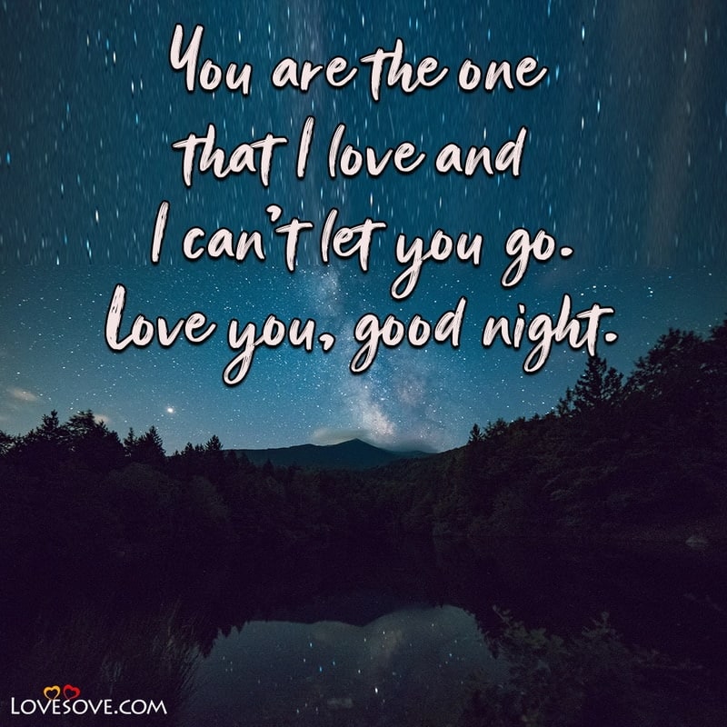 You are the one that I love and I can’t let you go, , good night wishes for lovely friend lovesove
