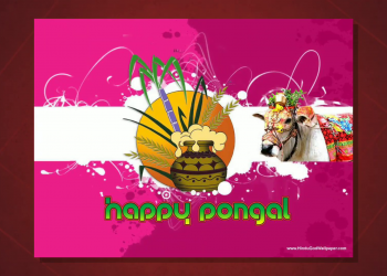 shree sidhivinayak namo namah, , happy pongal pongal whatsapp status pongal festival pongal wishes lovesovecom