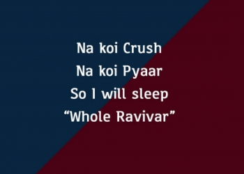 na koi crush na koi pyaar so i will sleep, , funny jokes for whatsapp status in hindi lovesove
