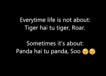 everytime life is not about tiger hai tu tiger roar, , funny status in hindi for friends lovesove