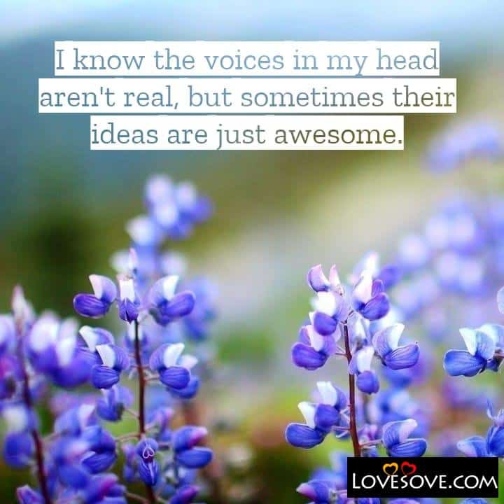 I know the voices in my head, , quote