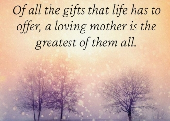 of all the gifts that life has, , quote amyadfk gj v