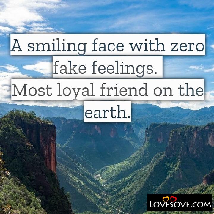A smiling face with zero fake feelings