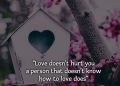 love quotes, , feeling in love status lovesove