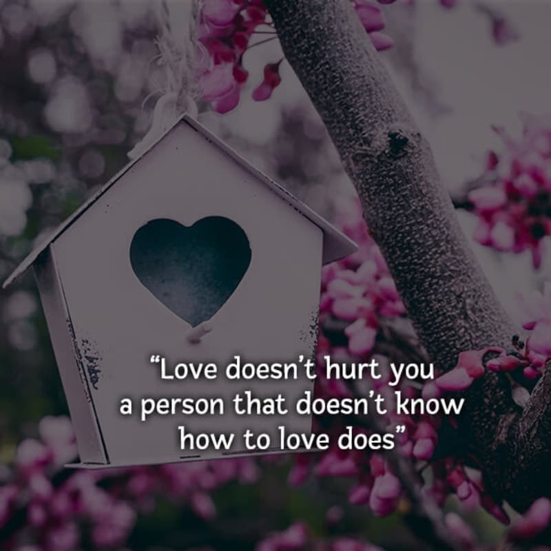 Love Doesn’t Hurt You A Person That Doesn’t Know