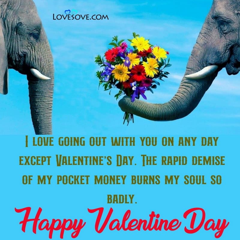 Funny Valentine's Day Quotes, Valentine Day Funny Wishes