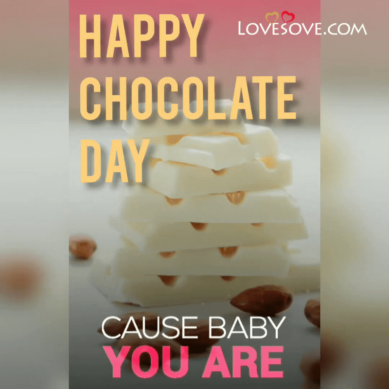 Happy Chocolate Day Video Whatsapp Status