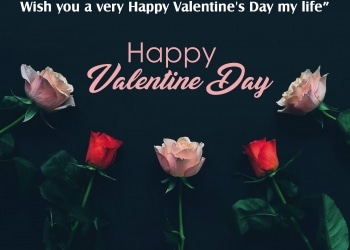 , , happy valentines day quotes messages lovesove