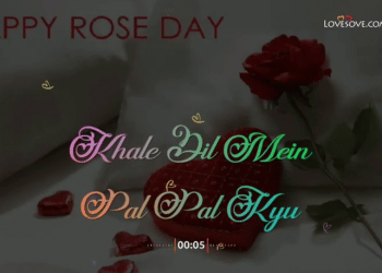 happy valentines day whatsapp status video, , hone do ishq shuru rose day special shayari happy rose day status lovesovecom
