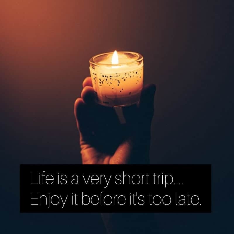 Life is a very short trip, , inshot
