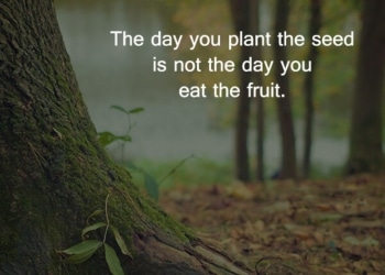 the day you plant the seed is not the day, , inspiring message on life lovesove