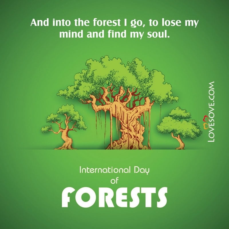 international day of forests quotes in life, international day of forests thoughts, international day of forests best lines,