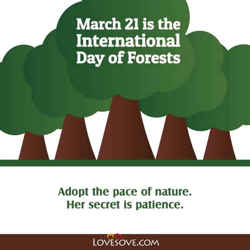 international day of forests best line, quotes of international day of forests , quotes by international day of forests, international day of forests quotes in life,