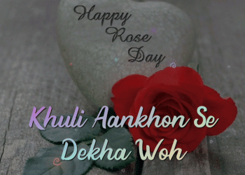 happy valentines day whatsapp status video, , khuli aankhom se dekha woh happy rose day whatsapp status rose day status video lovesovecom