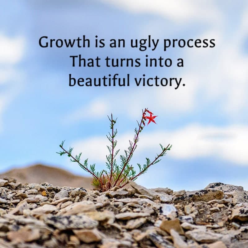 Growth Is An Ugly Process That Turns Into A, , motivational status and images lovesove
