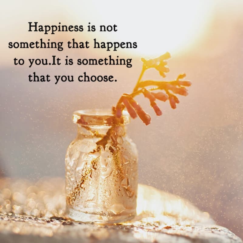 Happiness Is Not Something That Happens To You, , motivational status lovesove