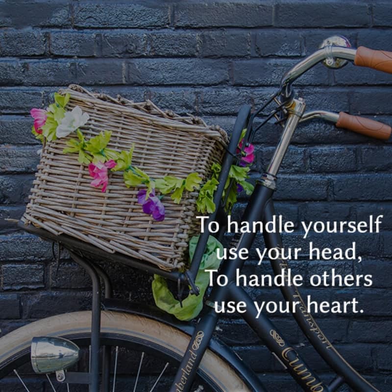 To Handle Yourself Use Your Head, , motivational status of whatsapp lovesove