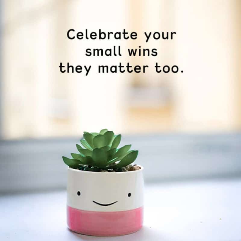 Celebrate Your Small Wins They Matter Too