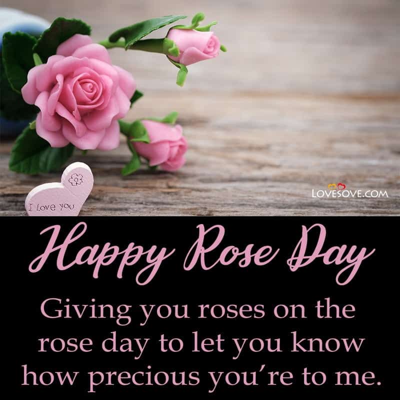 Rose Day Wishes Quotes In English, Happy Rose Day Images