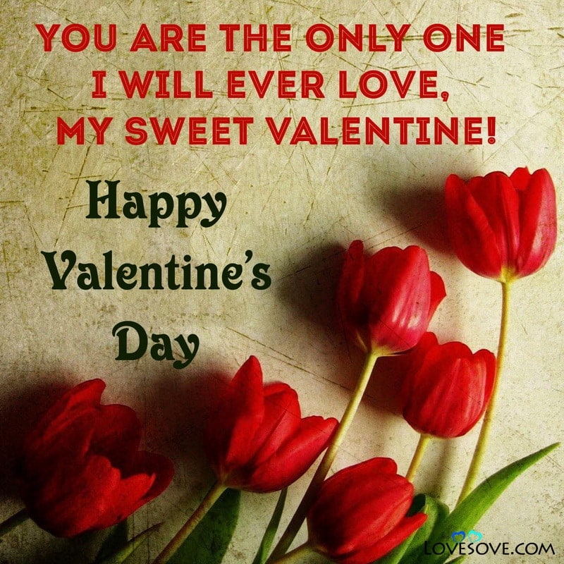 Happy Valentine Day Wishes Messages Quotes For Husband Wife .day like valentine's day comes around, i regularly chase pinterest or even google for exceptional sentimental festival images for my better half. happy valentine day wishes messages