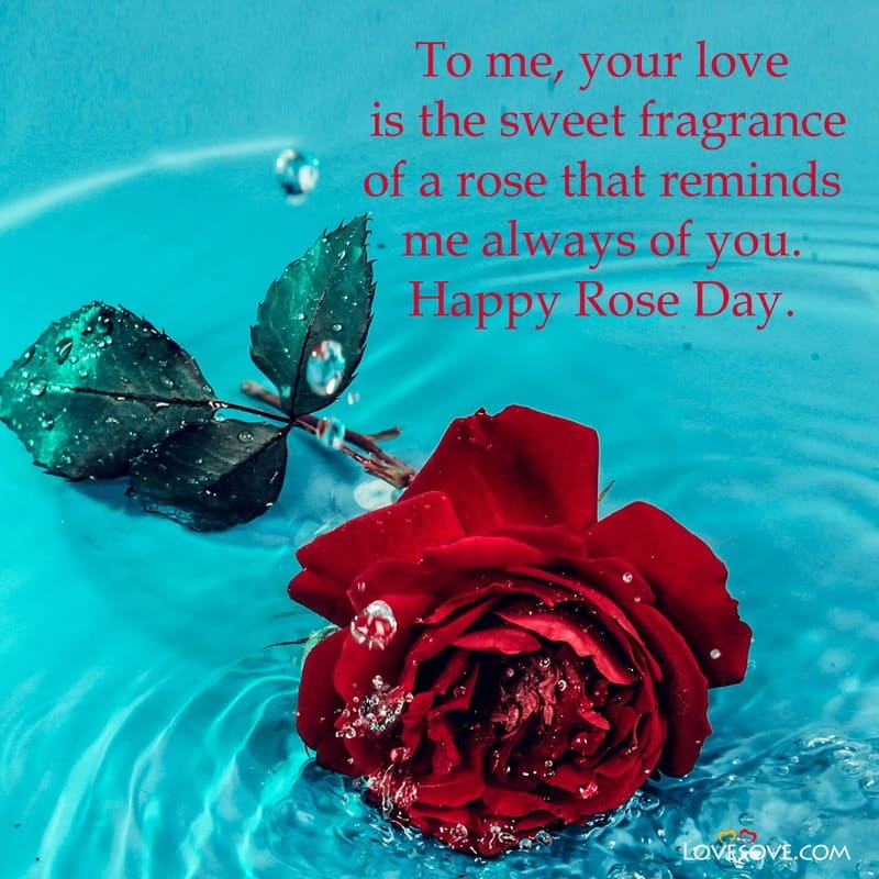 Happy rose day wishes to my love, rose day quotes for love