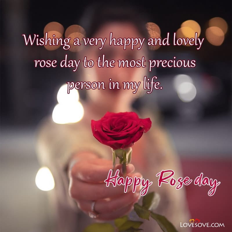 Rose Day Wishes Quotes In English, Happy Rose Day Images,