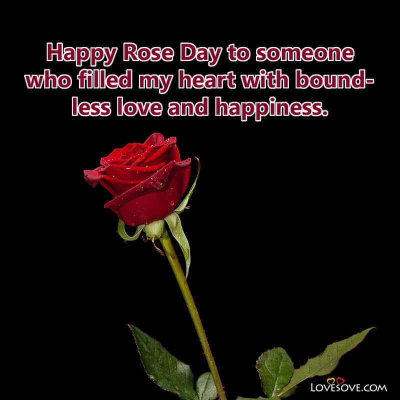 Happy rose day wishes to my love, rose day quotes for love