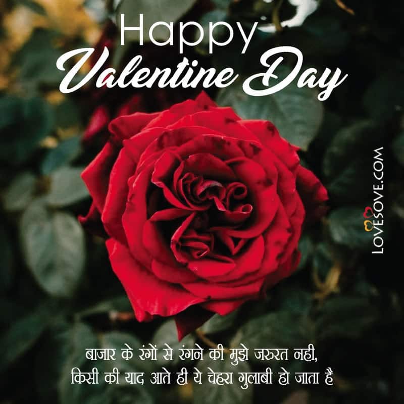 Happy Valentine Day Shayari Love, Happy Valentine Day Shayari Photo, Happy Valentine Day Wali Shayari, Happy Valentine Day Image With Shayari,
