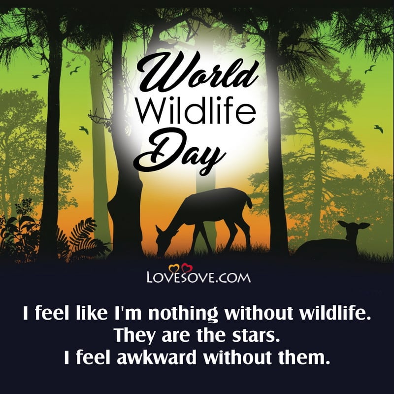 world wildlife day famous quotes, world wildlife day best quotes, world wildlife day lines, world wildlife day thoughts, world wildlife day best line,