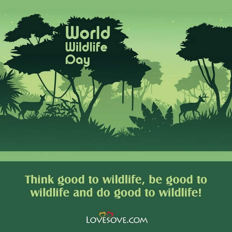world wildlife day famous quotes, world wildlife day best quotes, world wildlife day lines, world wildlife day thoughts, world wildlife day best line,