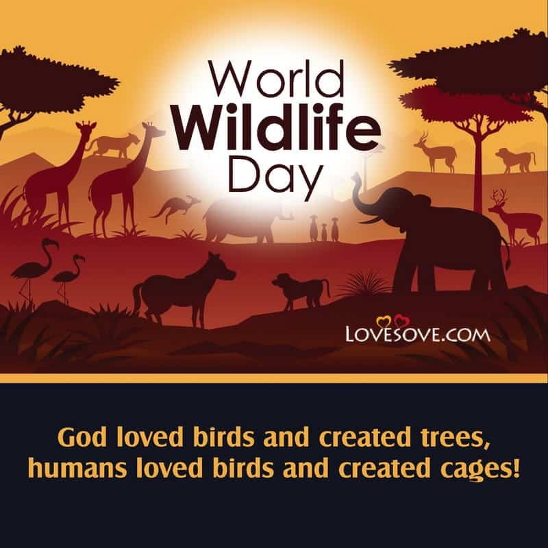 quotes of world wildlife day, quotes by world wildlife day, world wildlife day quotes in life, world wildlife day motivational thoughts, world wildlife day inspiring thoughts,