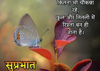 good morning suvichar, , good morning suvichar in hindi sms lovesove