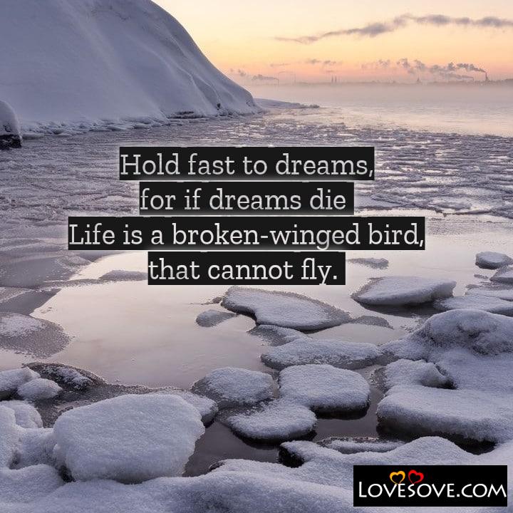 Hold fast to dreams for if dreams die, , quote