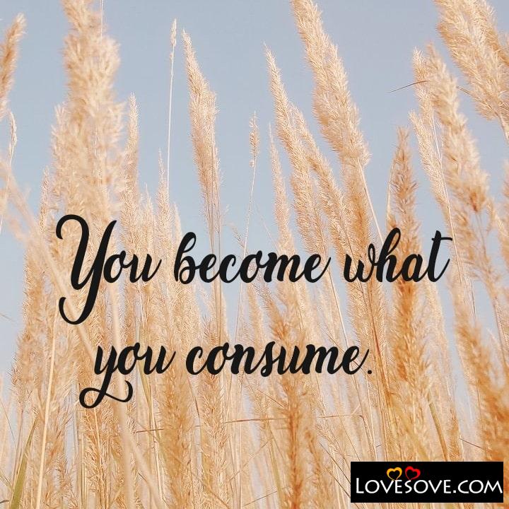 You become what you consume