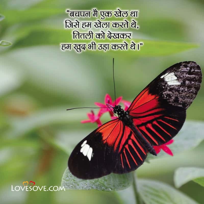 Butterfly Love Quotes in Hindi, Butterfly Status in Hindi