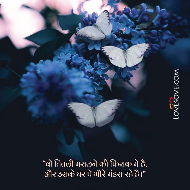butterfly shayari pic, butterfly ki shayari, butterfly love shayari in hindi, butterfly shayari download, butterfly quotes in hindi,
