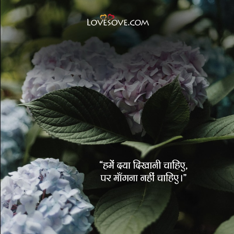 sympathy quotes for death in hindi, sympathy quotes for loss of mother in hindi, quotes in hindi for sympathy, quotes in hindi on sympathy, sympathy message in hindi,