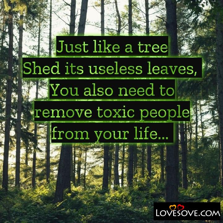 Just like a tree shed its useless leaves
