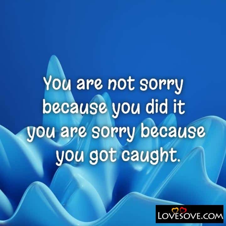 You are not sorry because you did it you are sorry