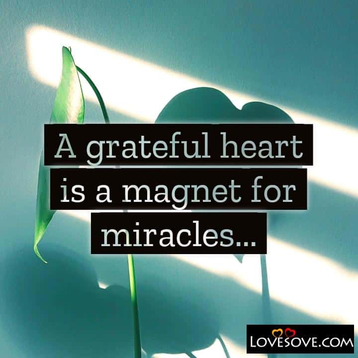 A grateful heart is a magnet for miracles