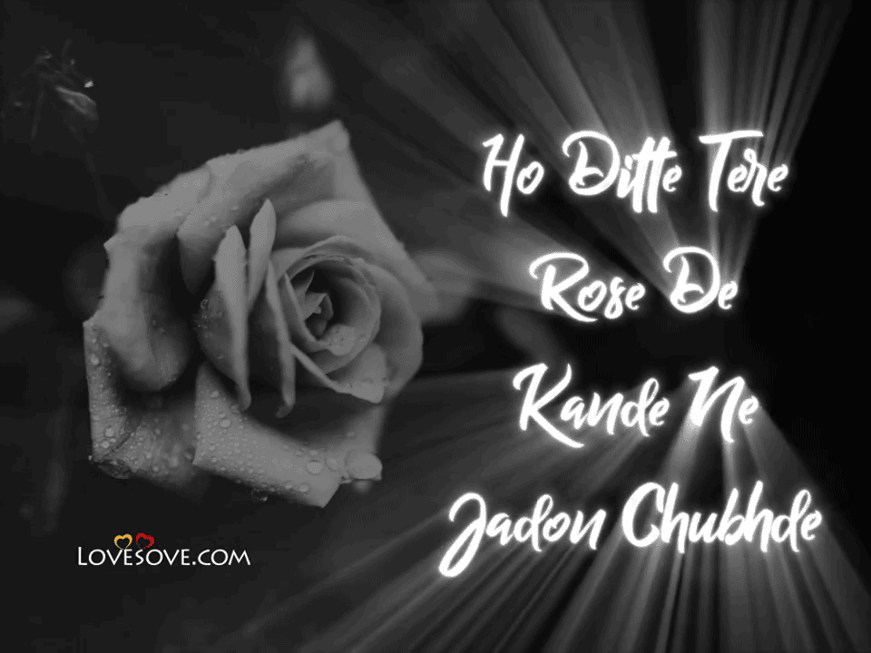 Ho Ditte Tere Rose De Kade Ne Jadon Chubhde
