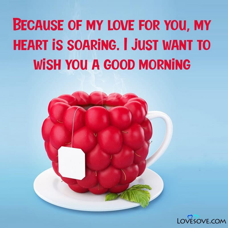 Good Morning Status In Love, Good Morning For Love Wallpaper, Good Morning Love For A Friend, Good Morning For The Love,