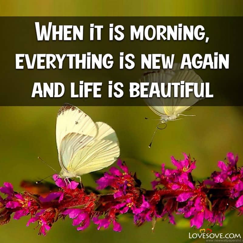 When it is morning everything is new again