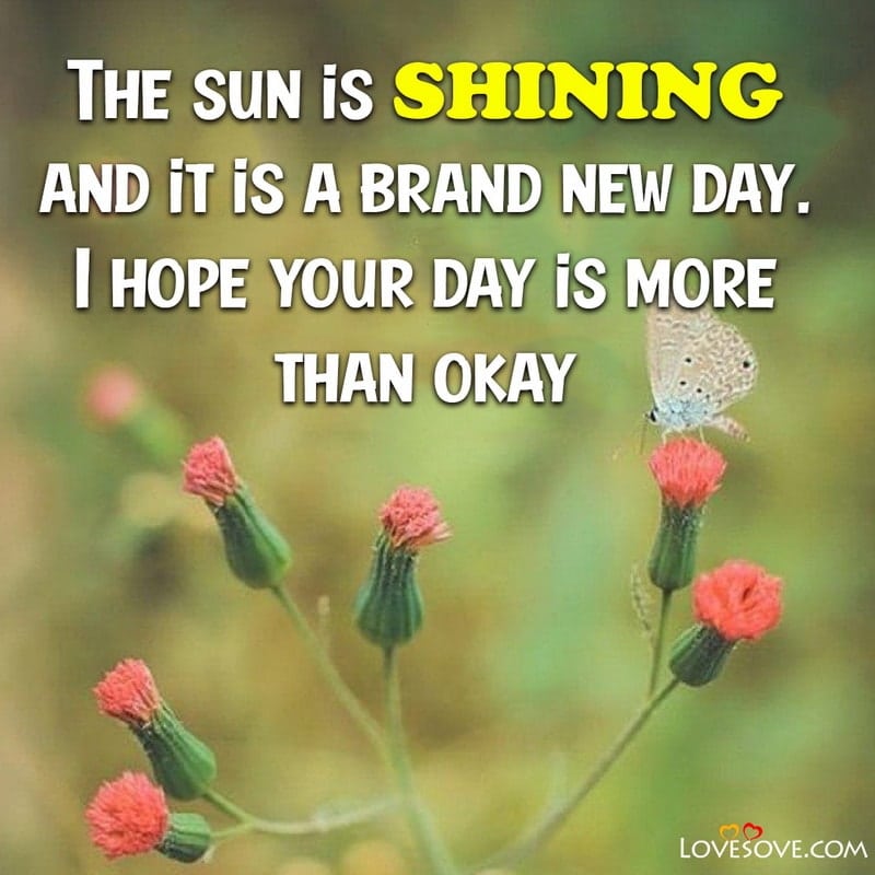 The sun is shining and it is a brand new day
