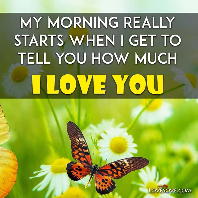 My morning really starts when i get to tell you – Morning Status
